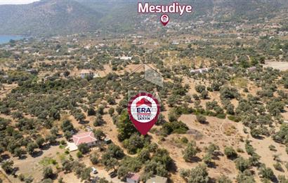 Datça Mesudiye Hayıtbükü'nde Satılık 1.459,78m2 Yatırımlık Tarla