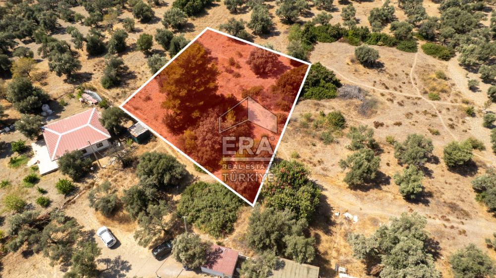 Datça Mesudiye Hayıtbükü'nde Satılık 1.459,78m2 Yatırımlık Tarla