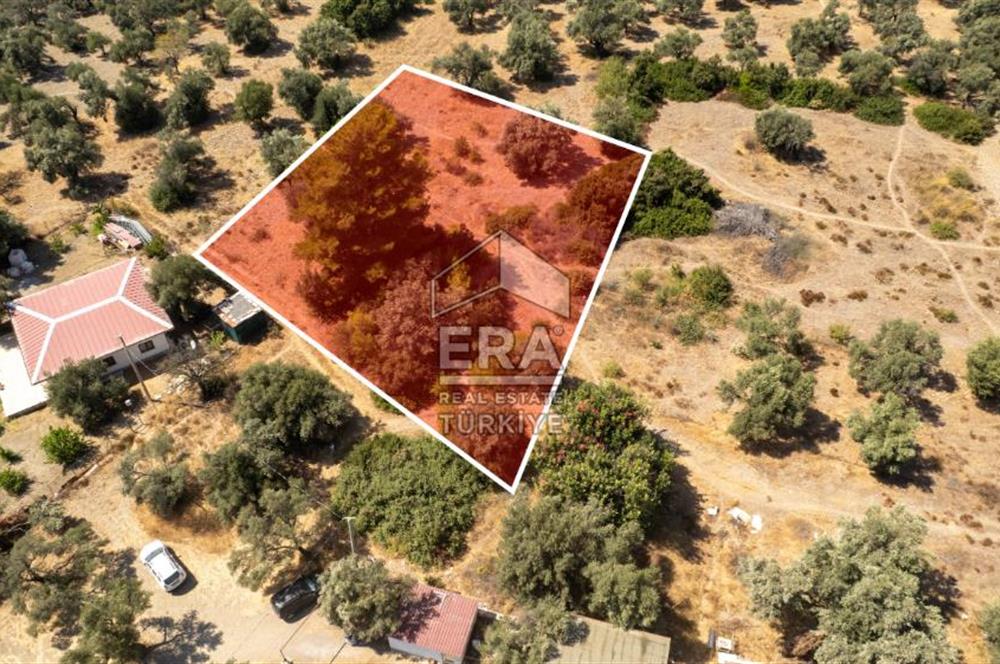 Datça Mesudiye Hayıtbükü'nde Satılık 1.459,78m2 Yatırımlık Tarla