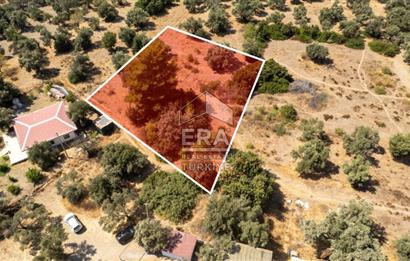 Datça Mesudiye Hayıtbükü'nde Satılık 1.459,78m2 Yatırımlık Tarla