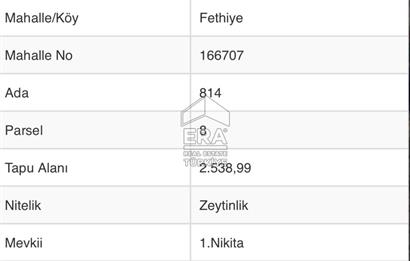 Era Angel’dan Ayvalık Fethiye’de Satılık 25 Ağaç Zeytinlik