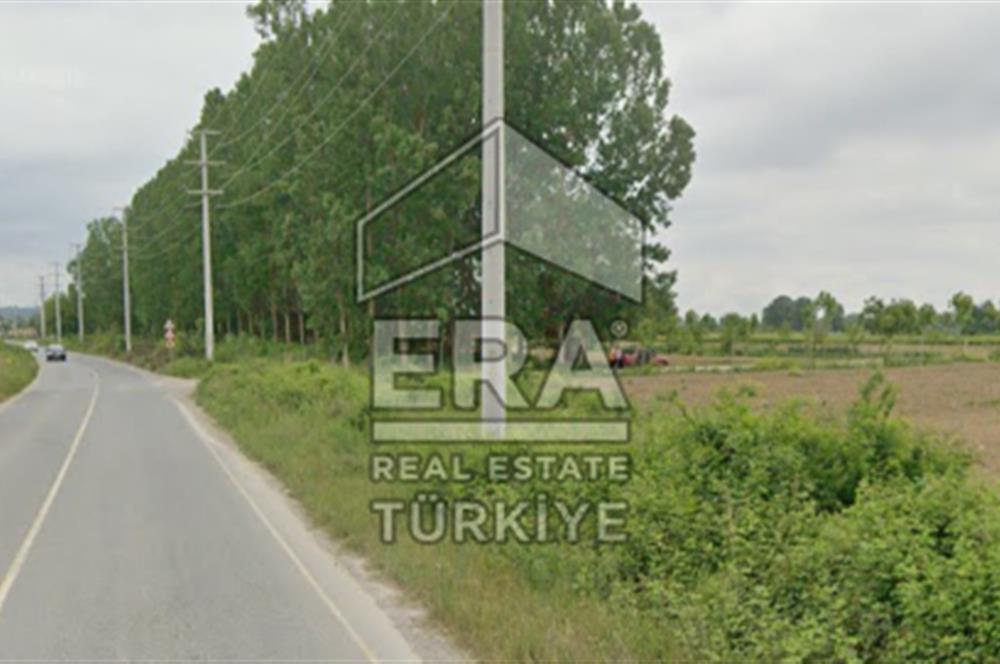 ERA KARAT FERİZLİ SEYİFLERDE SATILIK 3653 M2 TARLA