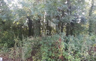ERA KARAT HENDEK ORTAKÖY’DE 1100 M2 SATILIK İMARLI ARSA