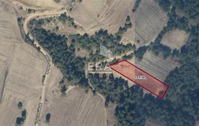 ERA KARAT SAKARYA GEYVE KARACAÖREN’DE SATILIK 2.106 M2 TARLA