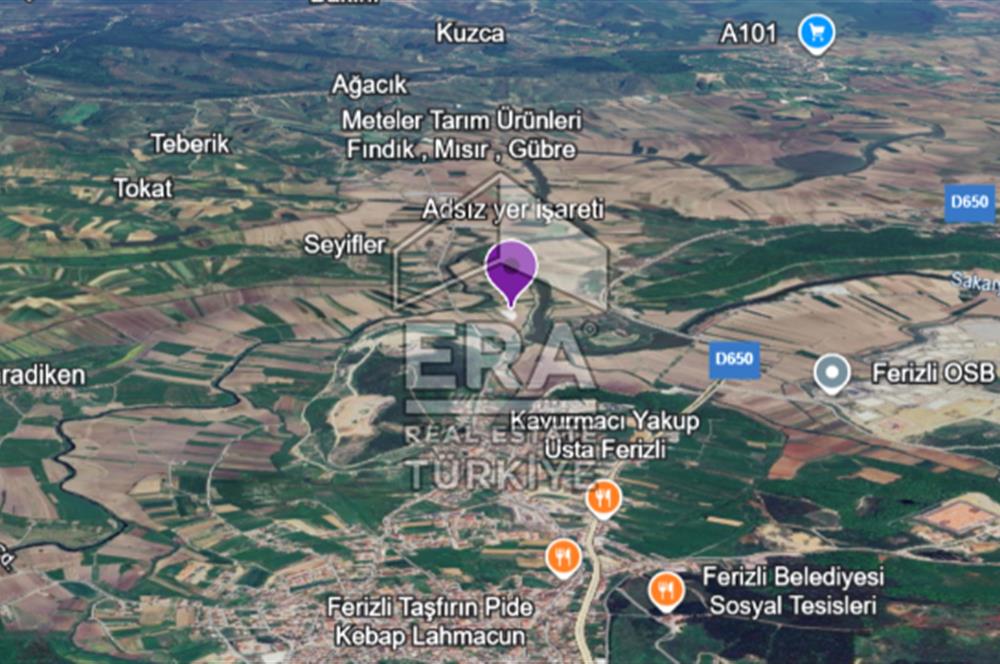 ERA KARAT FERİZLİ SEYİFLERDE SATILIK 3653 M2 TARLA