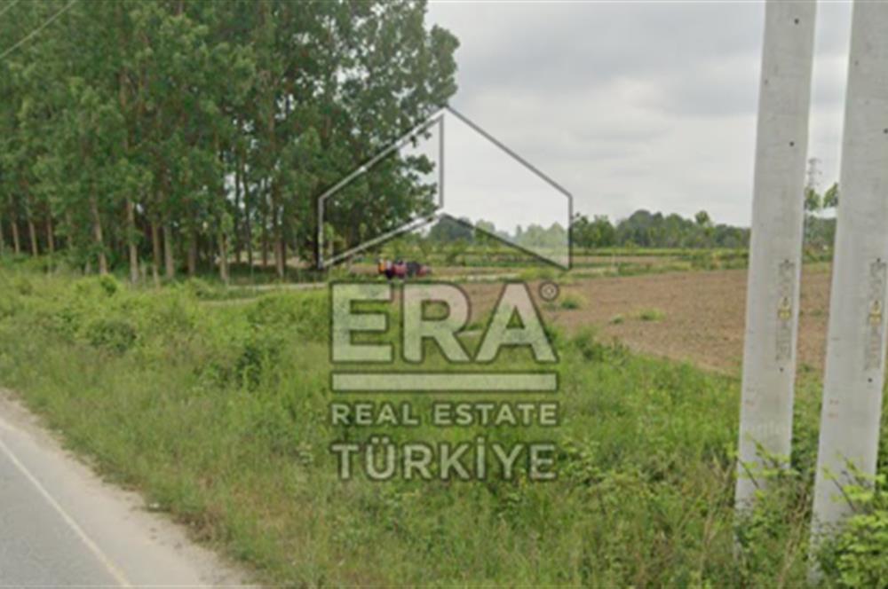 ERA KARAT FERİZLİ SEYİFLERDE SATILIK 3653 M2 TARLA