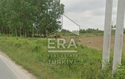 ERA KARAT FERİZLİ SEYİFLERDE SATILIK 3653 M2 TARLA