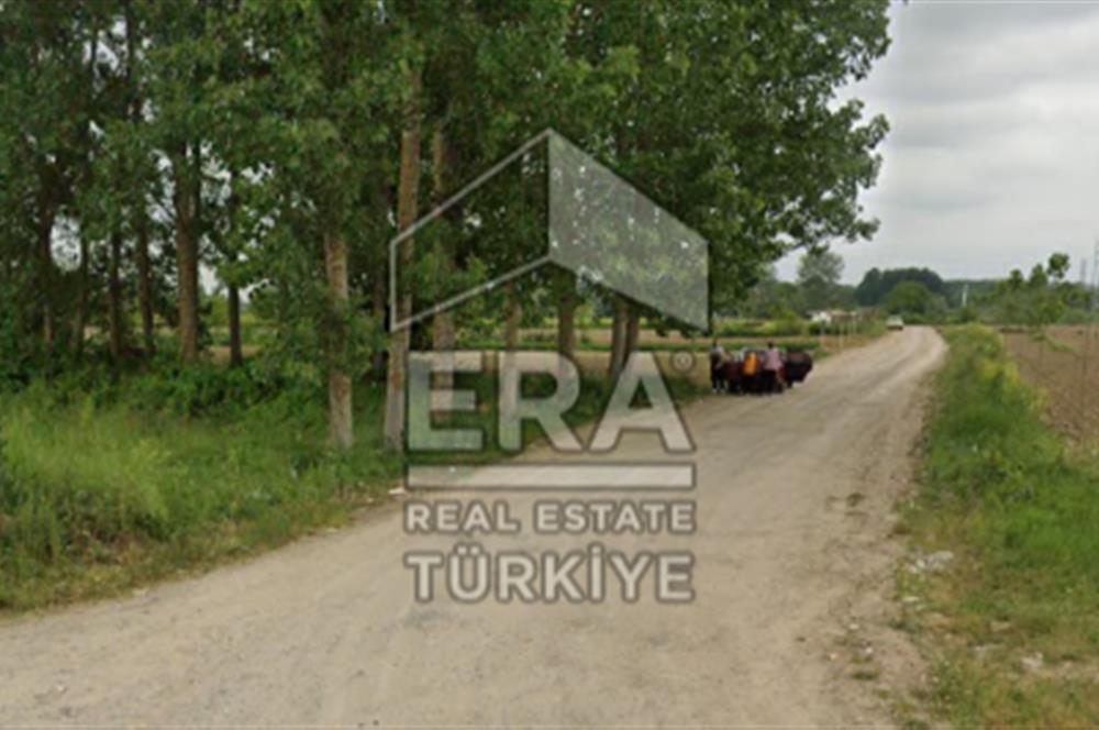 ERA KARAT FERİZLİ SEYİFLERDE SATILIK 3653 M2 TARLA