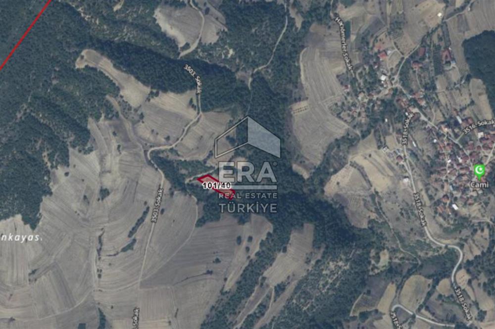 ERA KARAT SAKARYA GEYVE KARACAÖREN’DE SATILIK 2.106 M2 TARLA