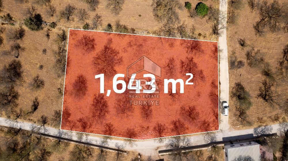 Datça Palamutbükü'nde Yola Sıfır Satılık 1.643m2 Bademlik Tarla