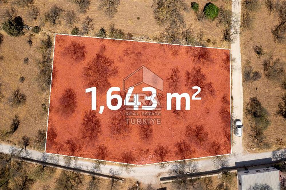 Datça Palamutbükü'nde Yola Sıfır Satılık 1.643m2 Bademlik Tarla