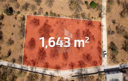 Datça Palamutbükü'nde Yola Sıfır Satılık 1.643m2 Bademlik Tarla