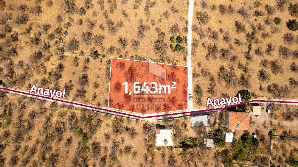 Datça Palamutbükü'nde Yola Sıfır Satılık 1.643m2 Bademlik Tarla