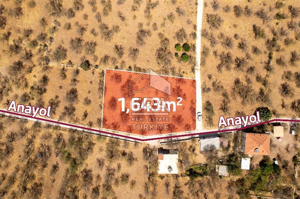 Datça Palamutbükü'nde Yola Sıfır Satılık 1.643m2 Bademlik Tarla