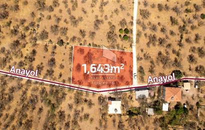 Datça Palamutbükü'nde Yola Sıfır Satılık 1.643m2 Bademlik Tarla