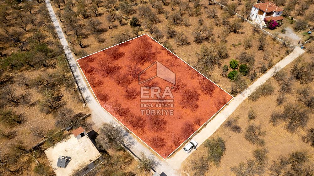 Datça Palamutbükü'nde Yola Sıfır Satılık 1.643m2 Bademlik Tarla
