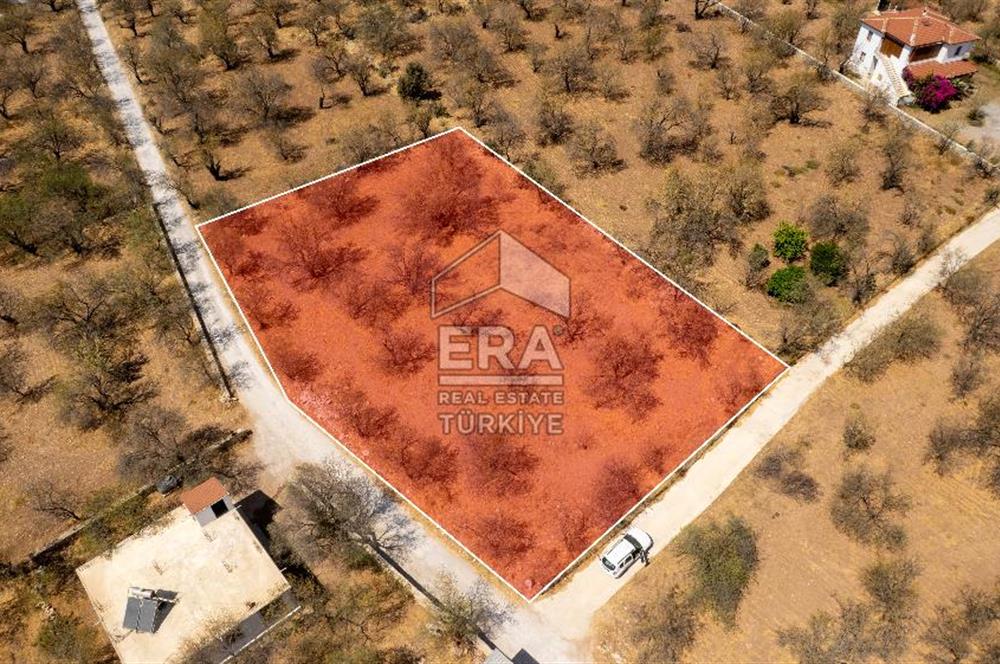 Datça Palamutbükü'nde Yola Sıfır Satılık 1.643m2 Bademlik Tarla