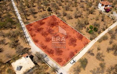 Datça Palamutbükü'nde Yola Sıfır Satılık 1.643m2 Bademlik Tarla