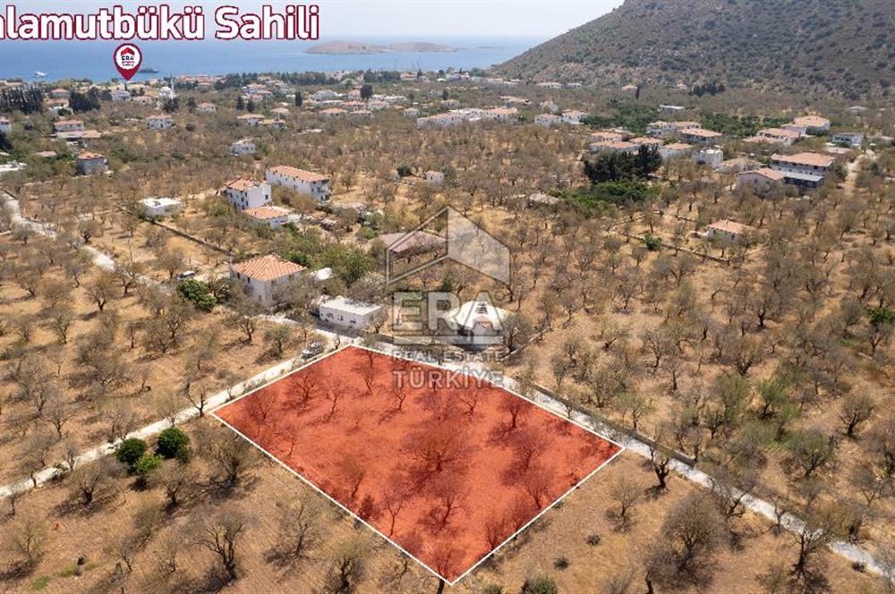 Datça Palamutbükü'nde Yola Sıfır Satılık 1.643m2 Bademlik Tarla