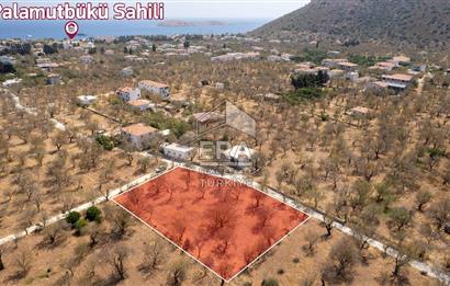 Datça Palamutbükü'nde Yola Sıfır Satılık 1.643m2 Bademlik Tarla