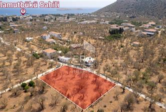 Datça Palamutbükü'nde Yola Sıfır Satılık 1.643m2 Bademlik Tarla