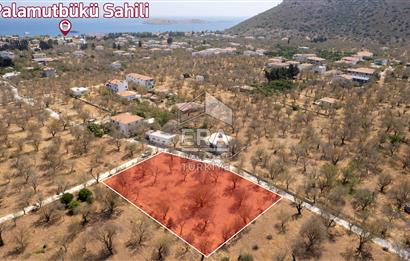 Datça Palamutbükü'nde Yola Sıfır Satılık 1.643m2 Bademlik Tarla