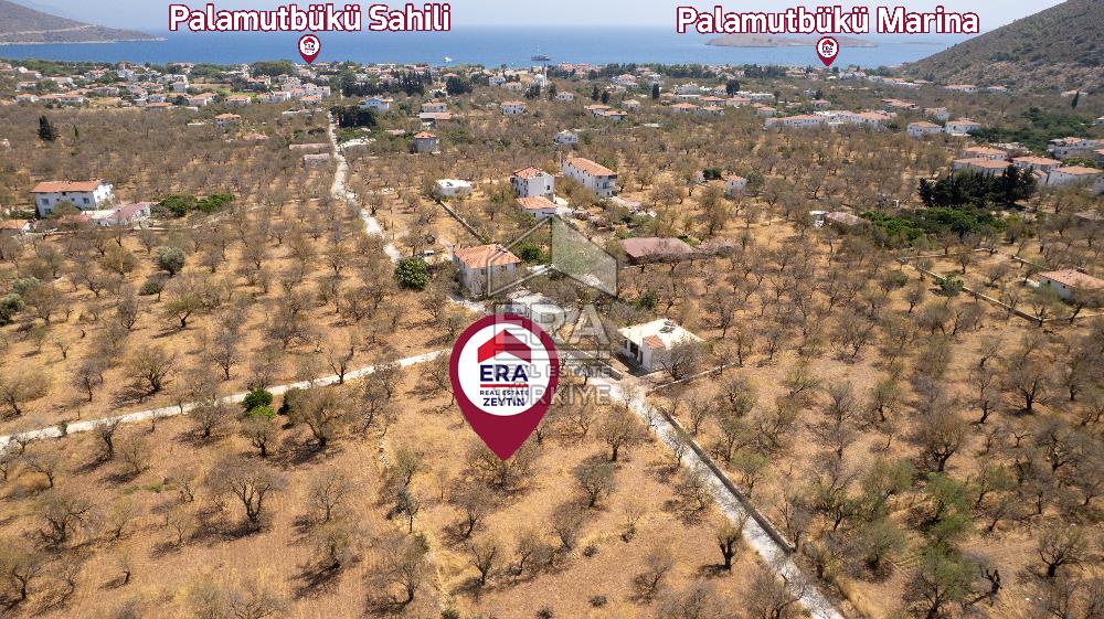 Datça Palamutbükü'nde Yola Sıfır Satılık 1.643m2 Bademlik Tarla