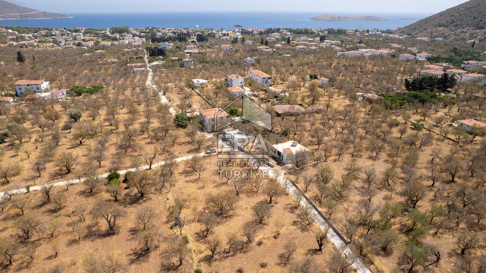 Datça Palamutbükü'nde Yola Sıfır Satılık 1.643m2 Bademlik Tarla
