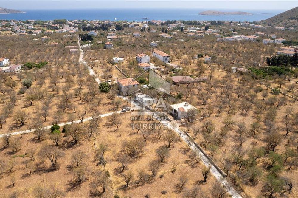 Datça Palamutbükü'nde Yola Sıfır Satılık 1.643m2 Bademlik Tarla