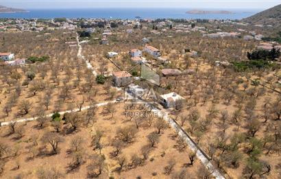 Datça Palamutbükü'nde Yola Sıfır Satılık 1.643m2 Bademlik Tarla