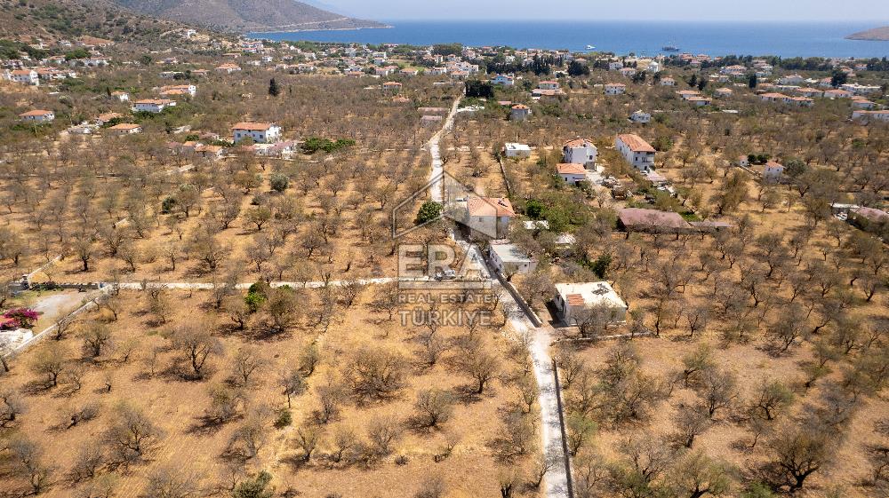 Datça Palamutbükü'nde Yola Sıfır Satılık 1.643m2 Bademlik Tarla