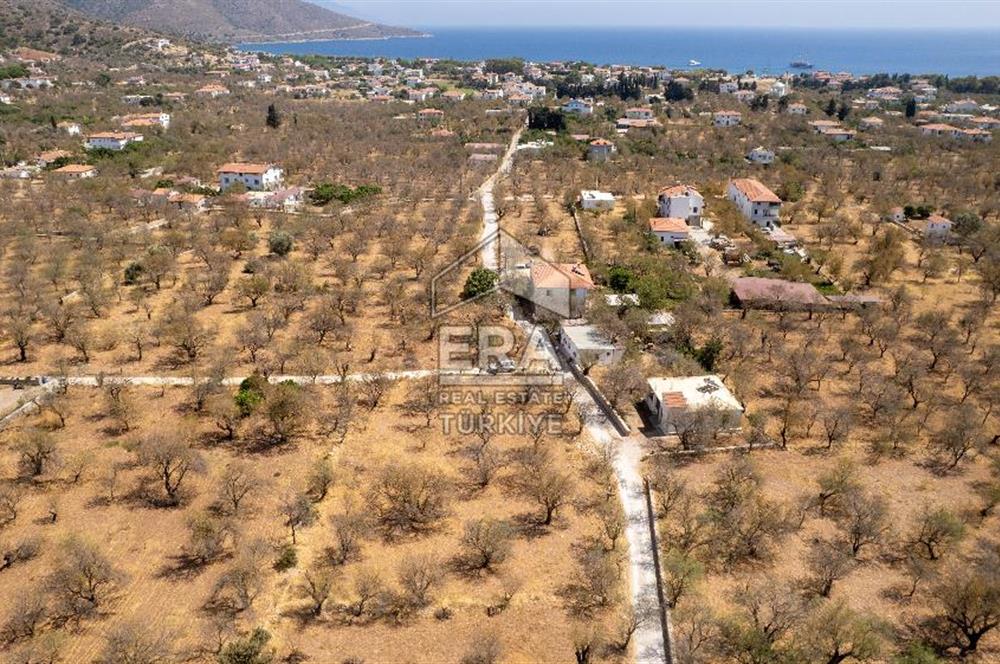 Datça Palamutbükü'nde Yola Sıfır Satılık 1.643m2 Bademlik Tarla