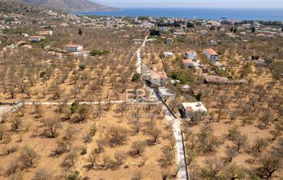 Datça Palamutbükü'nde Yola Sıfır Satılık 1.643m2 Bademlik Tarla