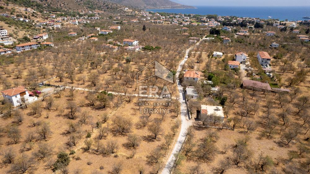 Datça Palamutbükü'nde Yola Sıfır Satılık 1.643m2 Bademlik Tarla