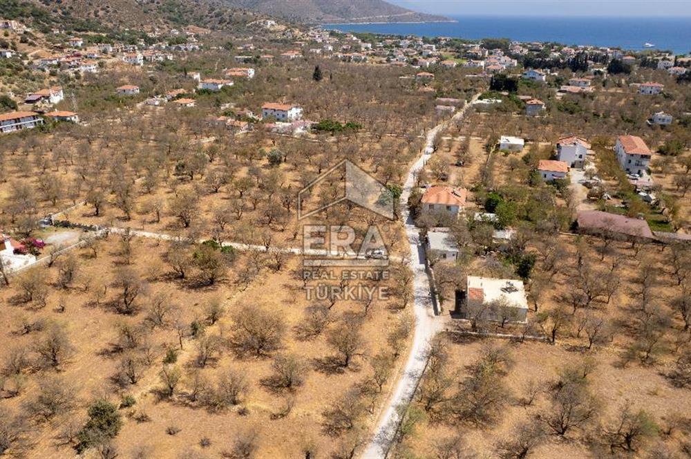 Datça Palamutbükü'nde Yola Sıfır Satılık 1.643m2 Bademlik Tarla
