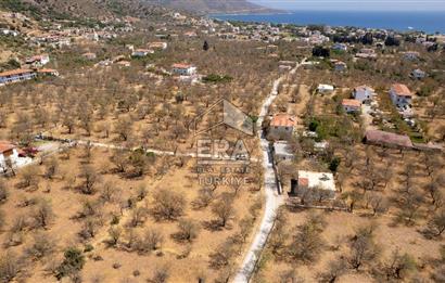 Datça Palamutbükü'nde Yola Sıfır Satılık 1.643m2 Bademlik Tarla