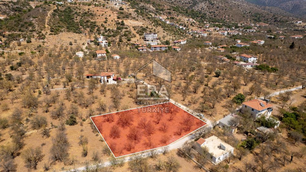 Datça Palamutbükü'nde Yola Sıfır Satılık 1.643m2 Bademlik Tarla