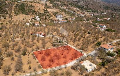 Datça Palamutbükü'nde Yola Sıfır Satılık 1.643m2 Bademlik Tarla