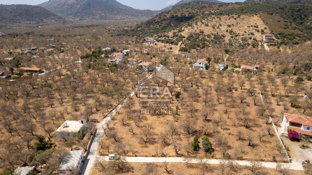 Datça Palamutbükü'nde Yola Sıfır Satılık 1.643m2 Bademlik Tarla