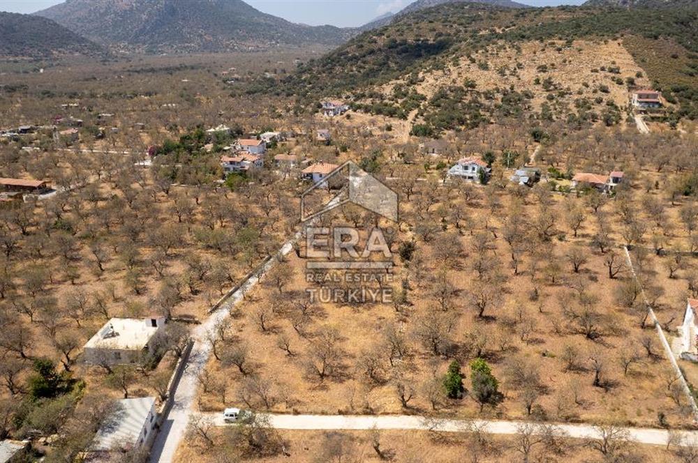 Datça Palamutbükü'nde Yola Sıfır Satılık 1.643m2 Bademlik Tarla