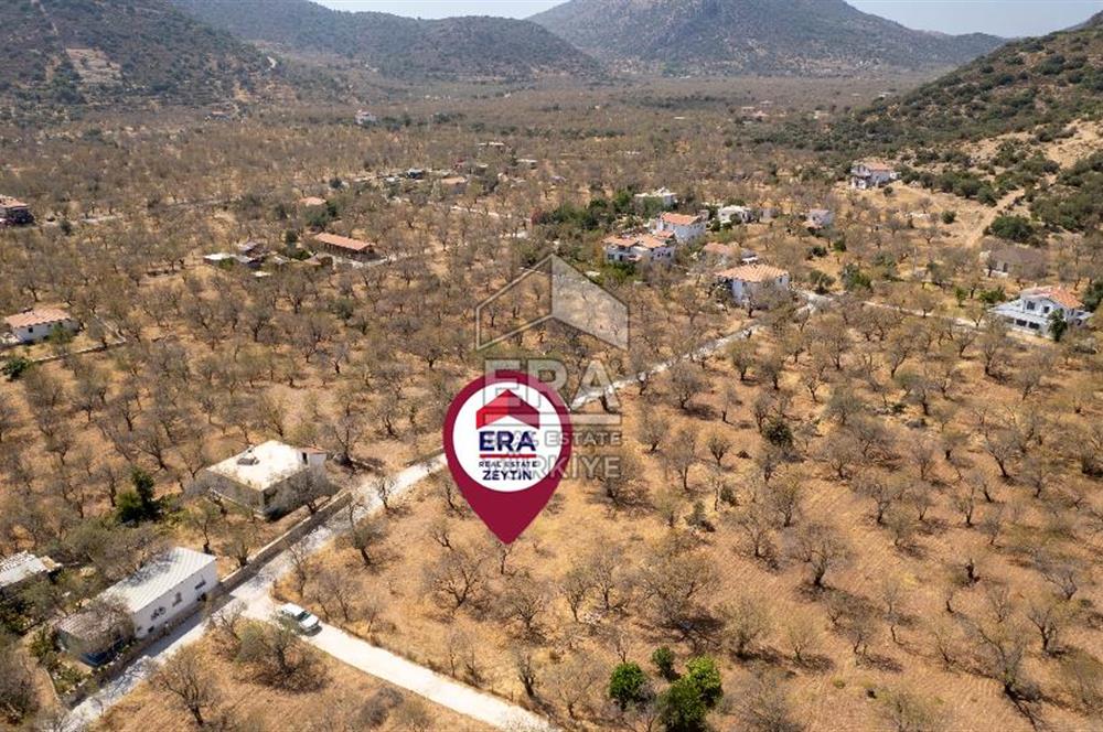 Datça Palamutbükü'nde Yola Sıfır Satılık 1.643m2 Bademlik Tarla