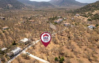 Datça Palamutbükü'nde Yola Sıfır Satılık 1.643m2 Bademlik Tarla