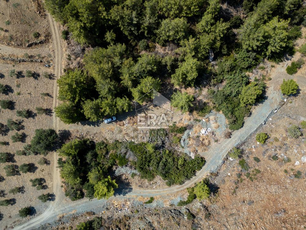 Datça Mesudiye Kızılbük koyunda 1.496,48m2 Tarla