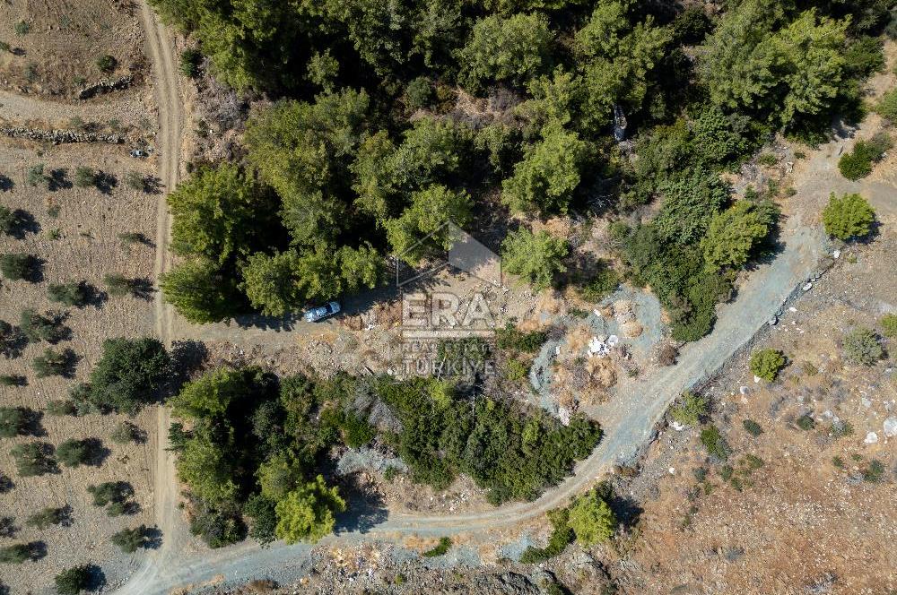 Datça Mesudiye Kızılbük koyunda 1.496,48m2 Tarla
