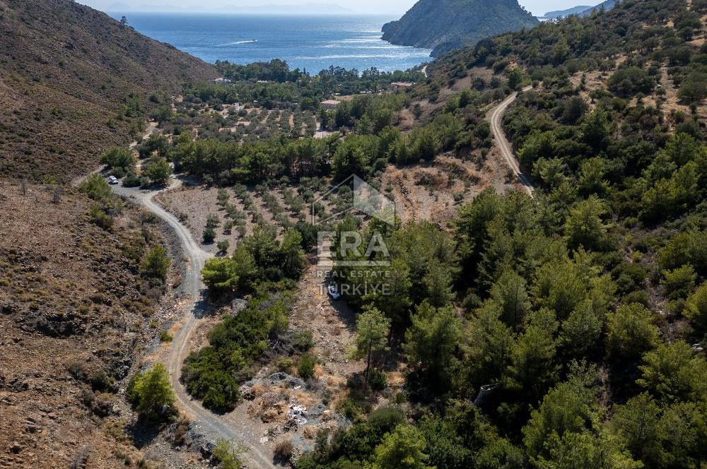 Datça Mesudiye Kızılbük koyunda 1.496,48m2 Tarla