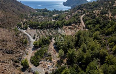 Datça Mesudiye Kızılbük koyunda 1.496,48m2 Tarla