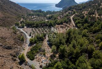 Datça Mesudiye Kızılbük koyunda 1.496,48m2 Tarla