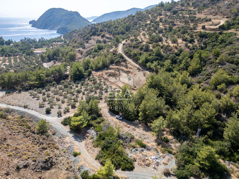 Datça Mesudiye Kızılbük koyunda 1.496,48m2 Tarla