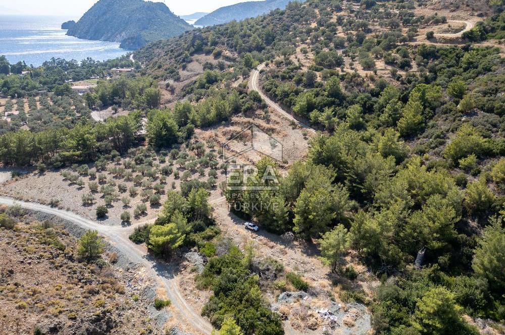 Datça Mesudiye Kızılbük koyunda 1.496,48m2 Tarla