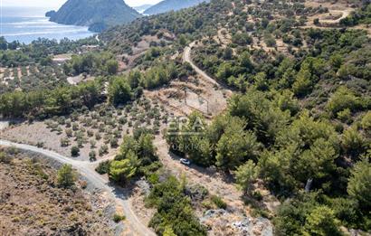 Datça Mesudiye Kızılbük koyunda 1.496,48m2 Tarla